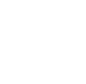 toilet icon white